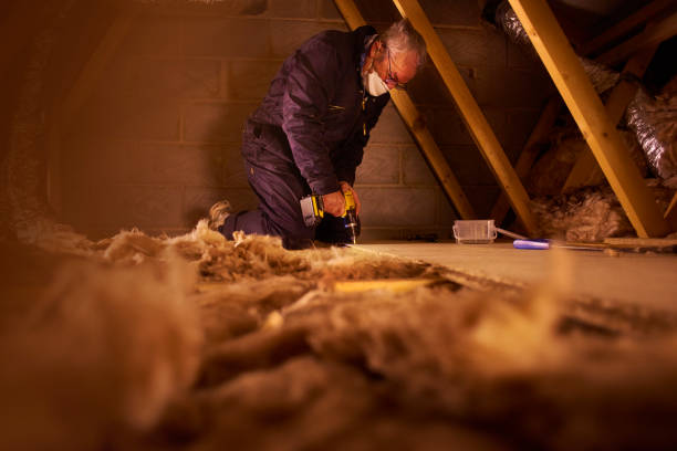 Best Residential Insulation in Verdi, NV